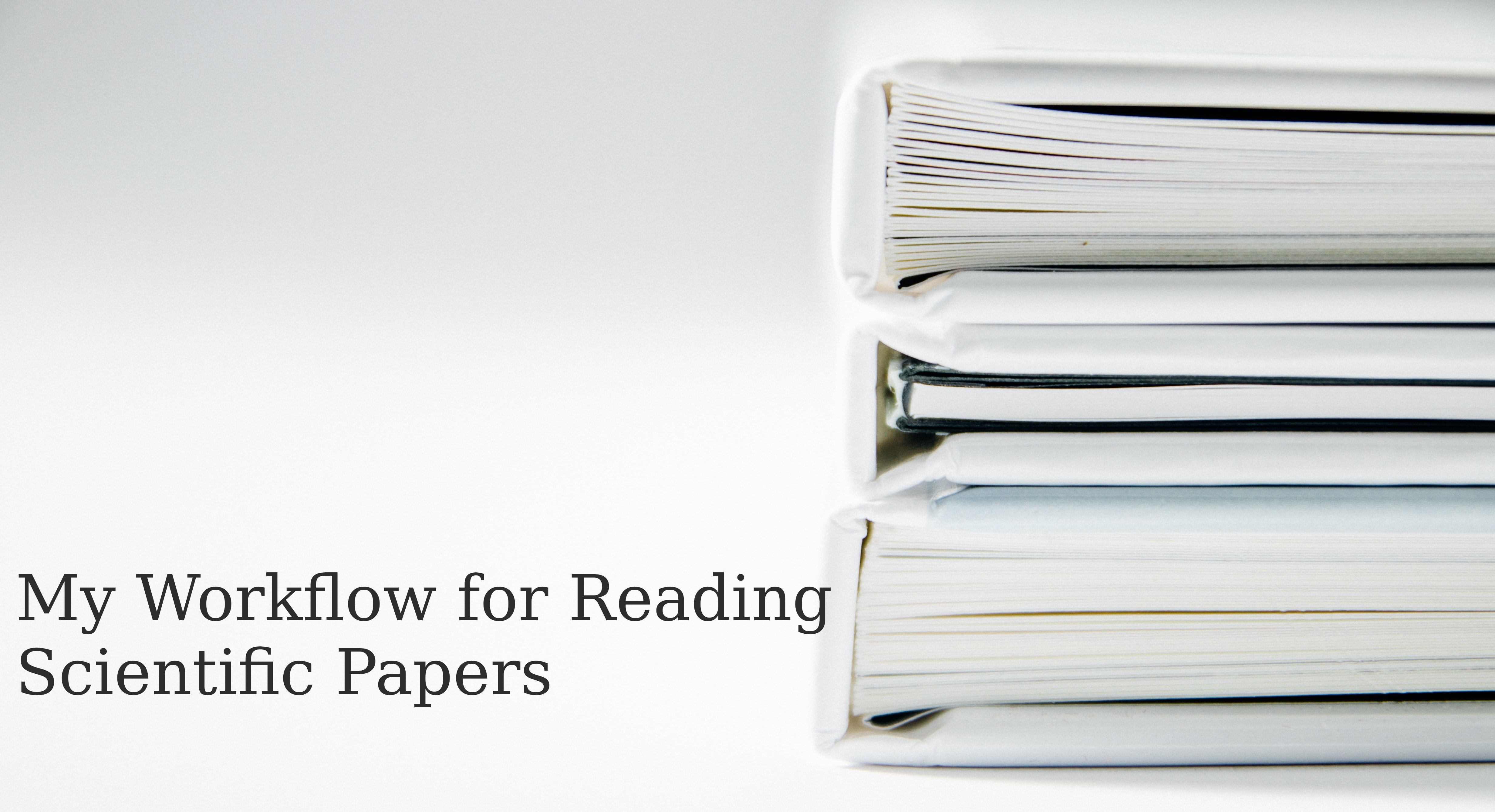 paper reading workflow